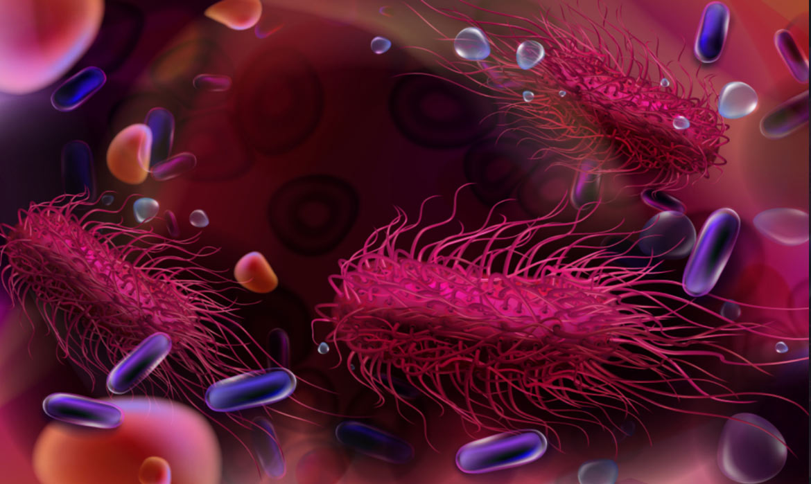 Salmonella-infeksjon: symptomer og behandling